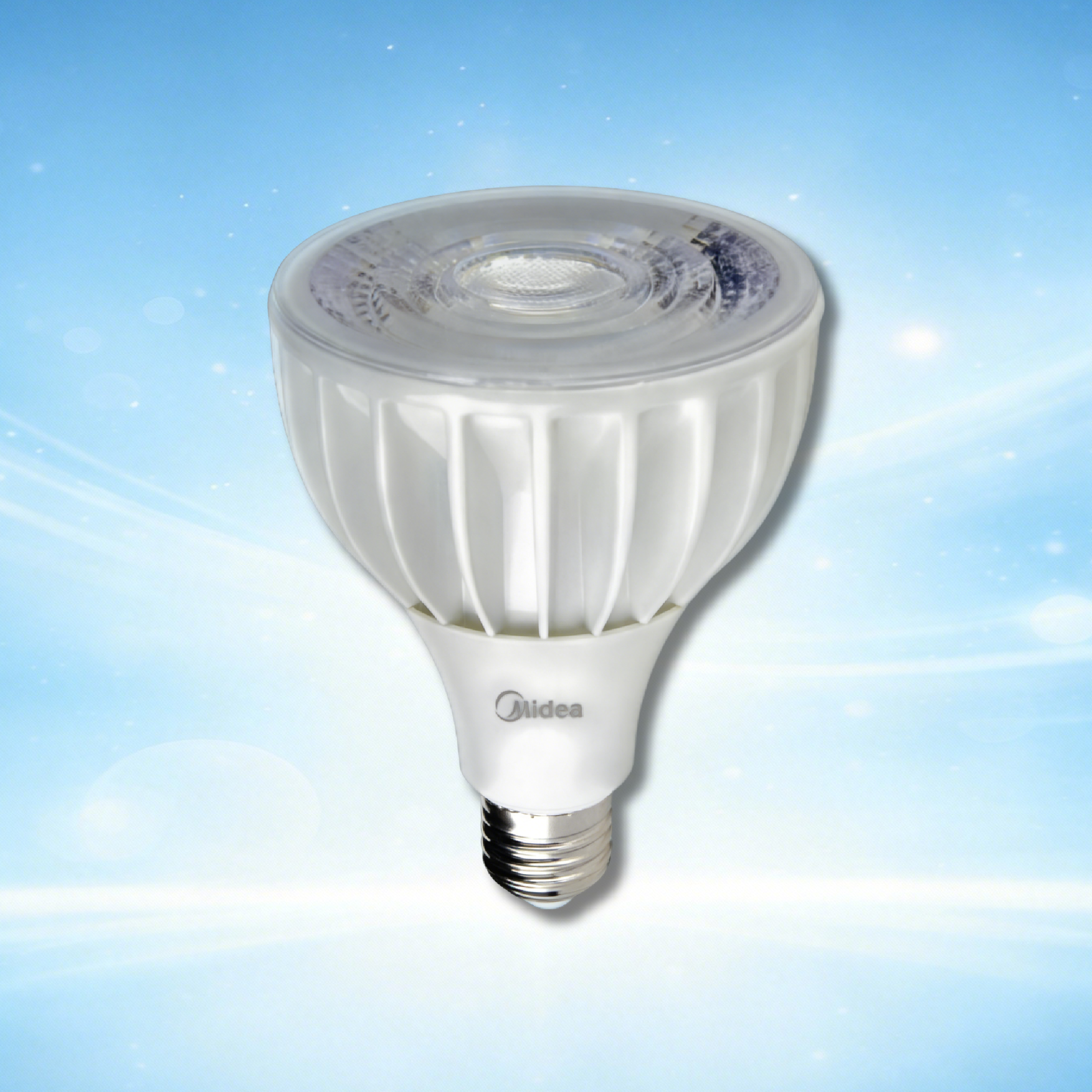 LED PAR30 Lamp
