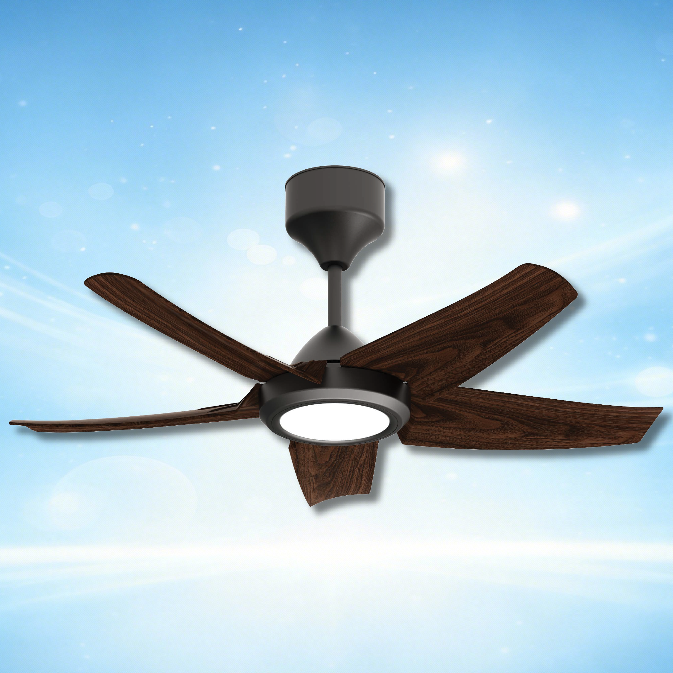 lite product website-13