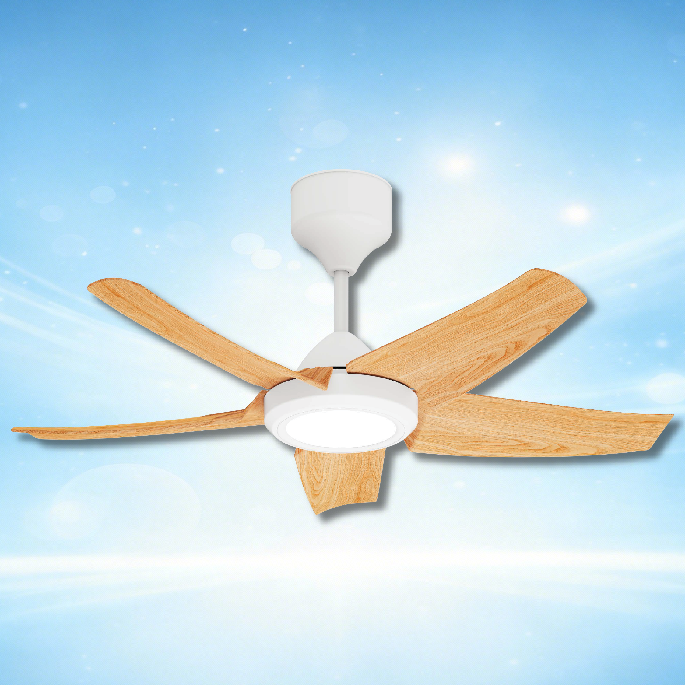 lite product website-14