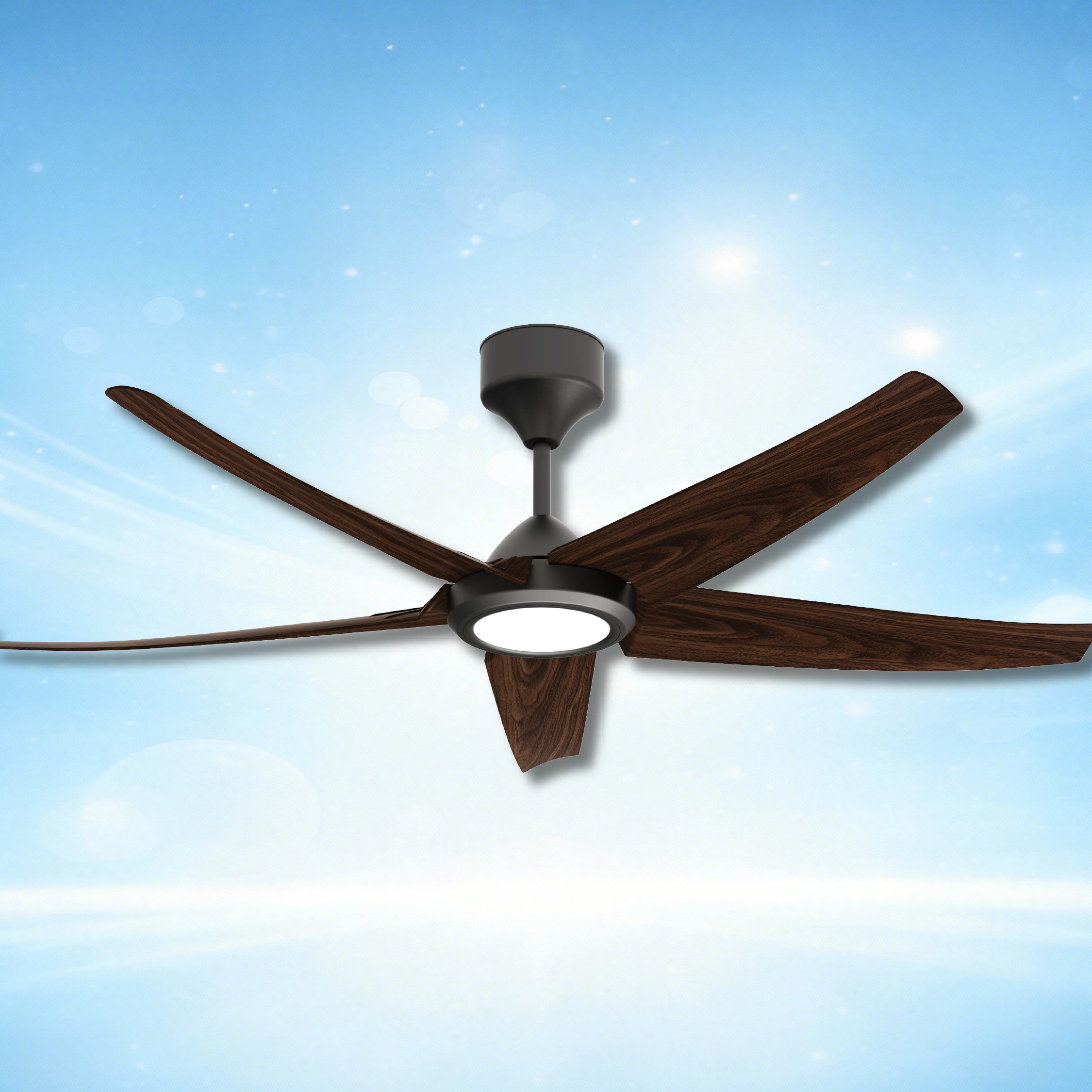 lite product website-17